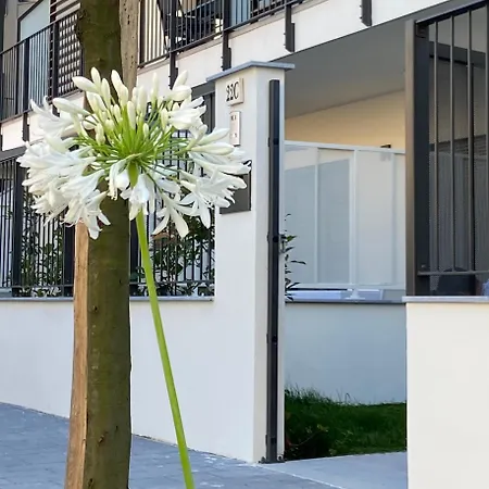 L'Angolo Di Anna Noli Exterior foto